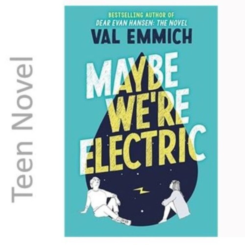 3/$13 Maybe We're Electric Teen novel Fiction Book by Val Emmich 2021